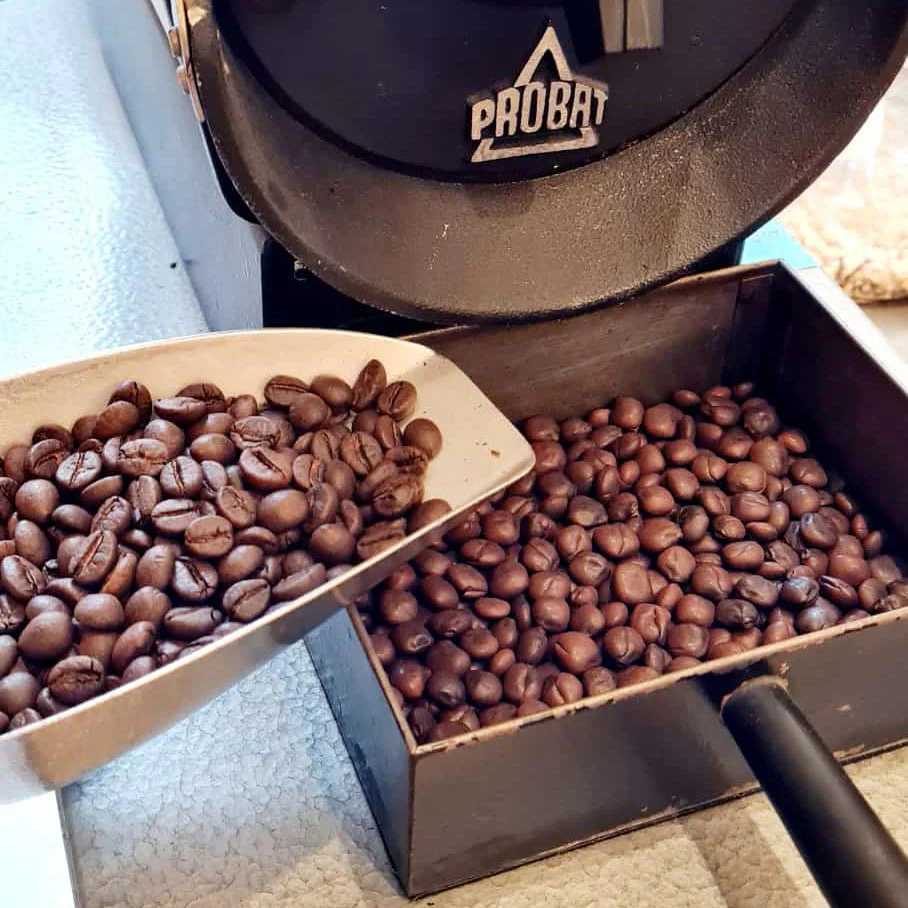 Earlybird coffee Bio Lupine Kaffeeblend gemahlen, 250 g - Image 4